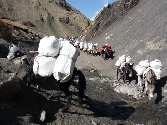 111114_Nepal_Mustang_1469_Chhusang_Muktinath