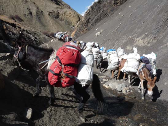111114_Nepal_Mustang_1471_Chhusang_Muktinath