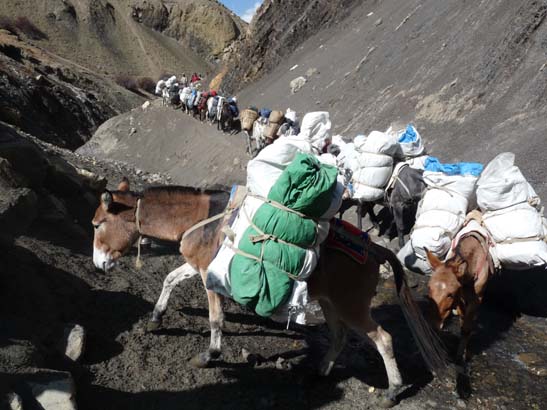 111114_Nepal_Mustang_1472_Chhusang_Muktinath