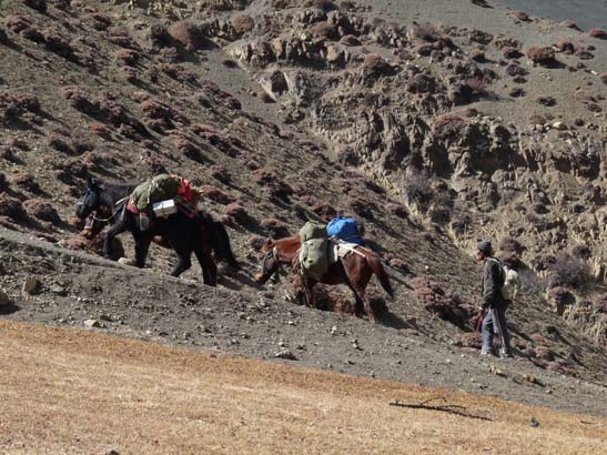 111114_Nepal_Mustang_1479_Chhusang_Muktinath