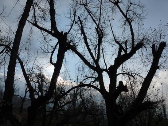 111114_Nepal_Mustang_1558_Chhusang_Muktinath