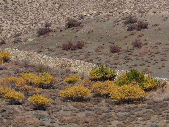 111115_Nepal_Mustang_1611_Muktinath_Jomsom