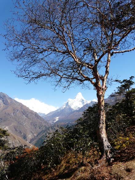 Thame-Kongde-Trek-0572