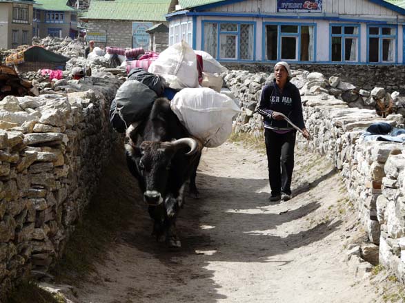 Thame-Kongde-Trek-0611