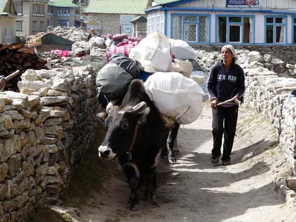 Thame-Kongde-Trek-0612