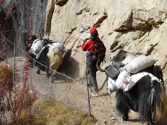 Thame-Kongde-Trek-0730