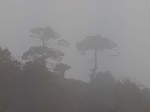 Thame-Kongde-Trek-0746