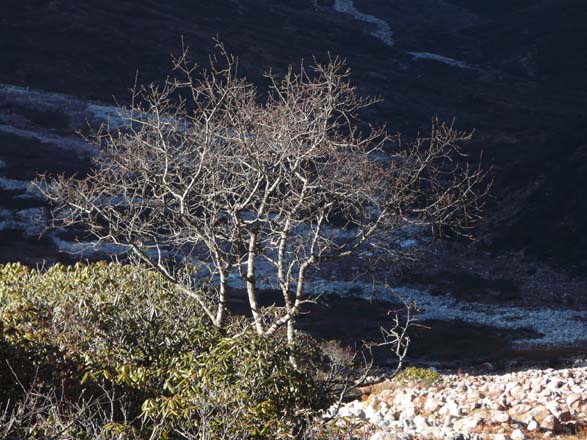 Thame-Kongde-Trek-0921