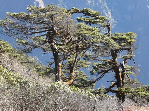 Thame-Kongde-Trek-1463