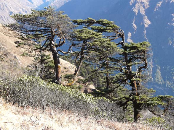 Thame-Kongde-Trek-1466