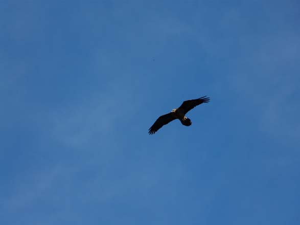 Thame-Kongde-Trek-1483