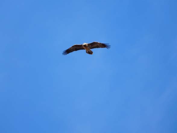 Thame-Kongde-Trek-1489