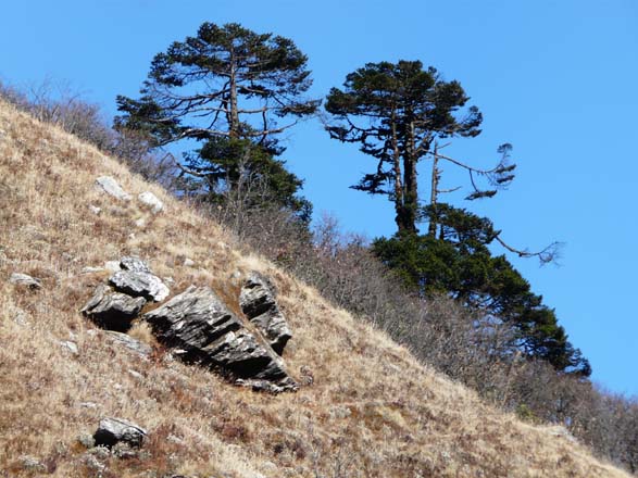 Thame-Kongde-Trek-1523