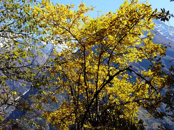 Thame-Kongde-Trek-1571