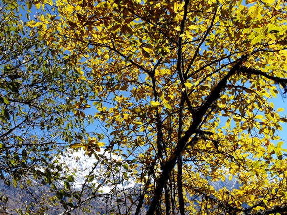 Thame-Kongde-Trek-1572