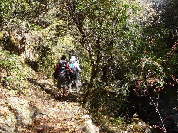 Thame-Kongde-Trek-1615