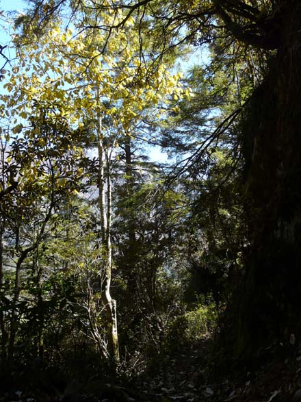 Thame-Kongde-Trek-1621