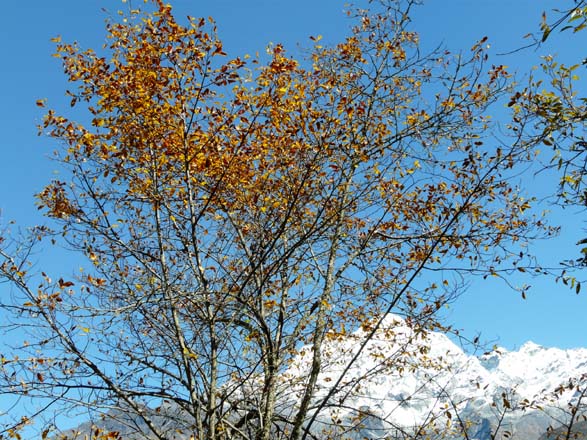 Thame-Kongde-Trek-1622