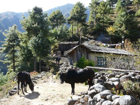 Thame-Kongde-Trek-1637