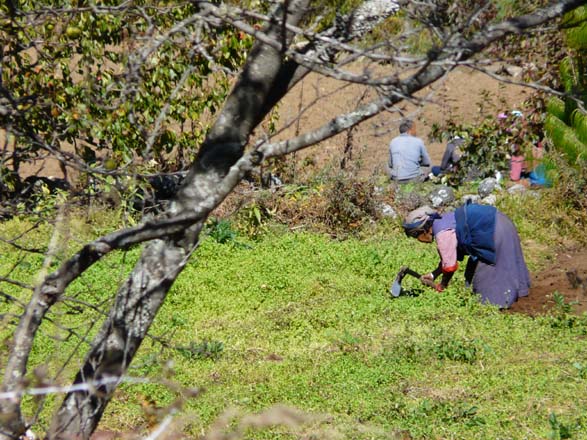 Thame-Kongde-Trek-1648