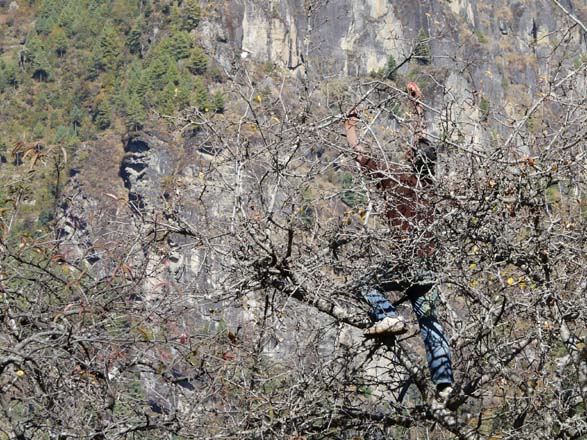 Thame-Kongde-Trek-1659