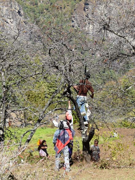 Thame-Kongde-Trek-1660