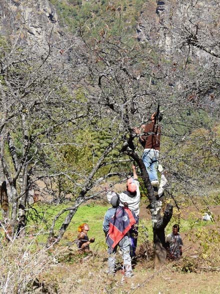 Thame-Kongde-Trek-1661