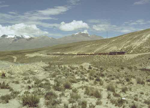 peru-altiplano-2001-02-029