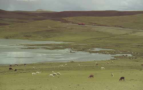peru-altiplano-2001-02-033