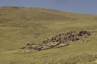 peru-altiplano-2001-02-015