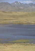 peru-altiplano-2001-02-024