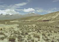 peru-altiplano-2001-02-029