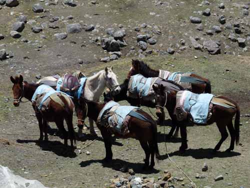 11-Peru-Auzangate_Trek-002