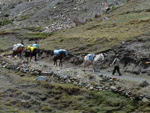 11-Peru-Auzangate_Trek-011