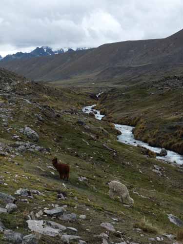 11-Peru-Auzangate_Trek-017