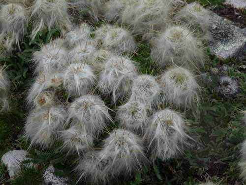 11-Peru-Auzangate_Trek-074