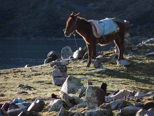 11-Peru-Auzangate_Trek-094