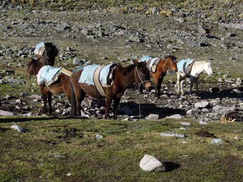 11-Peru-Auzangate_Trek-105