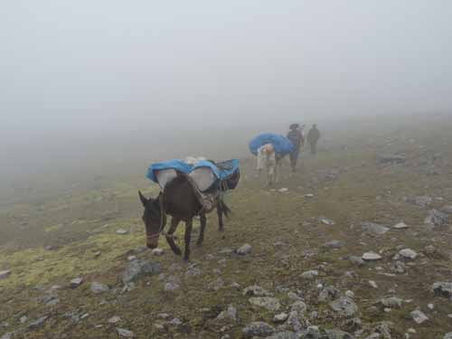 11-Peru-Auzangate_Trek-139