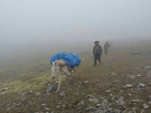 11-Peru-Auzangate_Trek-141
