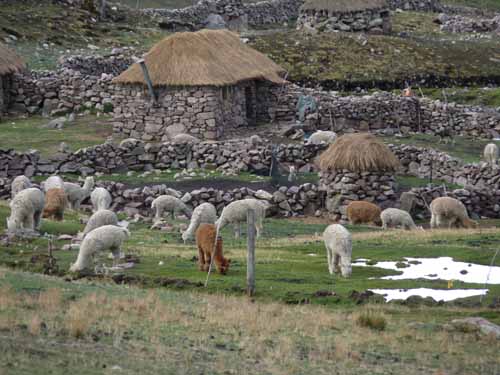 11-Peru-Auzangate_Trek-191