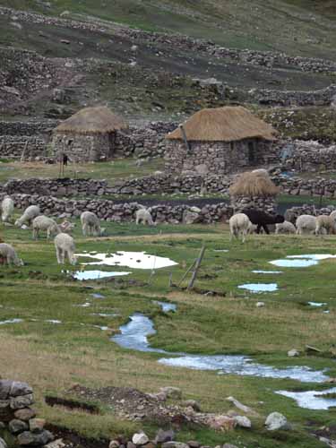 11-Peru-Auzangate_Trek-195