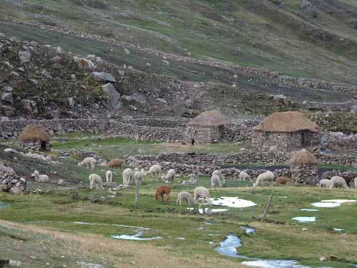 11-Peru-Auzangate_Trek-196
