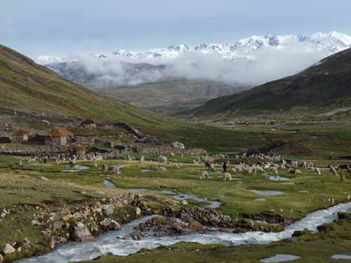 11-Peru-Auzangate_Trek-219