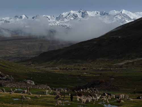11-Peru-Auzangate_Trek-225