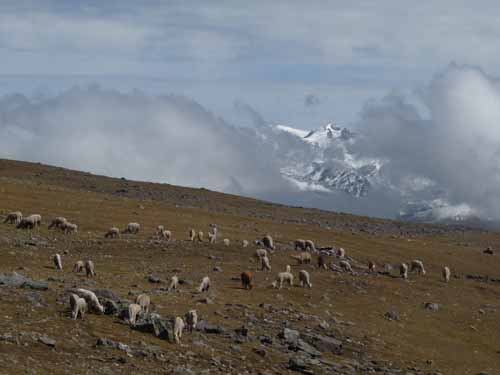 11-Peru-Auzangate_Trek-299