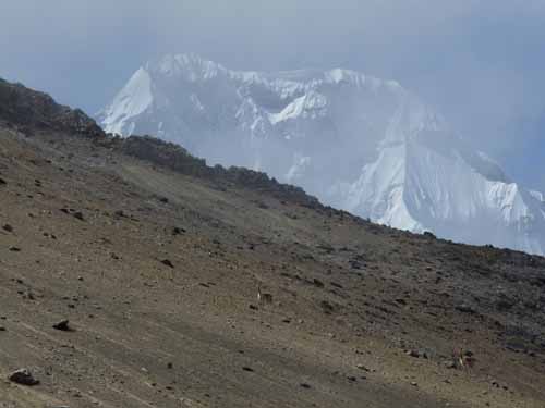 11-Peru-Auzangate_Trek-306