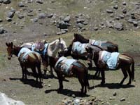 11-Peru-Auzangate_Trek-002