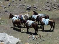 11-Peru-Auzangate_Trek-003