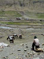 11-Peru-Auzangate_Trek-005